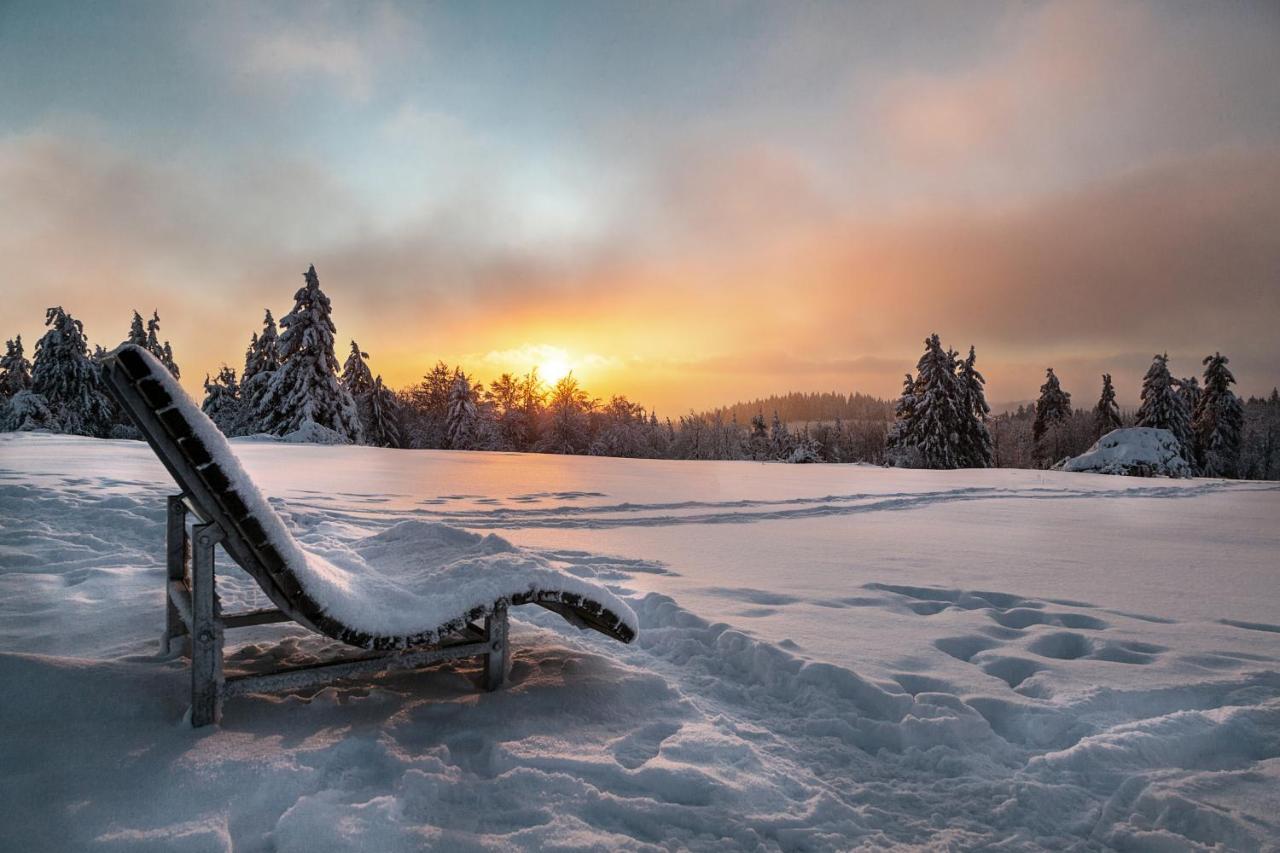 The Suite Winterberg Deluxe - Exklusive Ausstattung, Bestlage Zwischen Skikarussell Und Marktplatz, Eigener Garten, Ski- Und Fahrradraum, Ruhige Suedausrichtung, Wlan, Hundefreundlich Экстерьер фото