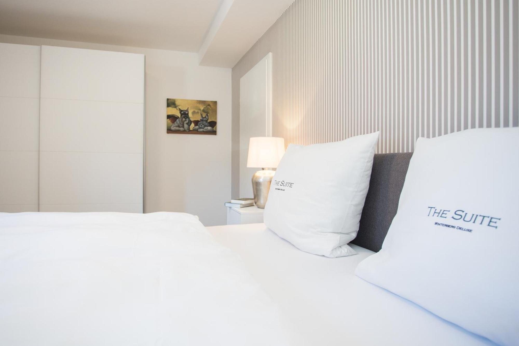 The Suite Winterberg Deluxe - Exklusive Ausstattung, Bestlage Zwischen Skikarussell Und Marktplatz, Eigener Garten, Ski- Und Fahrradraum, Ruhige Suedausrichtung, Wlan, Hundefreundlich Экстерьер фото